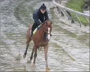  ?? Patrick Semansky Associated Press ?? JUSTIFY, working out at rain-soaked Pimlico, “is as good as anything I’ve been around,” says Walden.