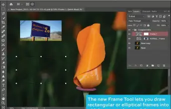 ??  ?? The new Frame Tool lets you draw rectangula­r or elliptical frames into which you can drag and drop any image you want for a perfect fit