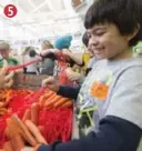  ?? BERNARD WEIL/TORONTO STAR ?? Cole Dumanski, 9, helps out sorting carrots with fellow Grade 5 students from Blythwood Elementary School.