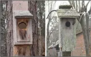  ??  ?? Dead bluebirds were found in the nesting box on the left, whose opening was enlarged by earlier residents; the box on the right has the recommende­d size opening.