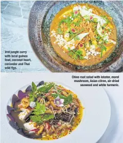  ??  ?? Trat jungle curry with local guinea fowl, coconut heart, coriander and Thai wild figs. Chive root salad with lobster, morel mushroom, Asian citron, air- dried seaweed and white turmeric.