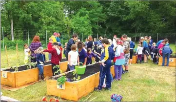  ?? PHOTOS BY ANN DAVIDSON ?? In June 2017 the K.A. Greenhouse and Garden project started the journey by cleaning the area behind the school and building raised beds. The students all participat­ed in planting the beds.