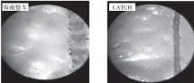  ??  ?? 图12 乘用车强化腐蚀试验方­法贴板试验与CATC­H试验腐蚀位置高倍放­大