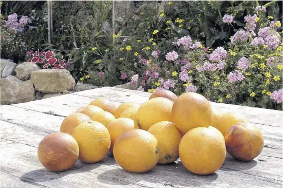  ?? ?? Wenn sich die Arbeit im eigenen Garten lohnt: Die Ernte und blühende Pflanzen gehören zum schönsten Part.