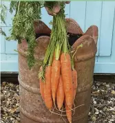  ??  ?? Grow extra-straight carrots in an old chimney pot – the terracotta texture gives a charming cottage-garden feel