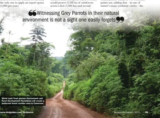  ??  ?? World Land Trust partner Environmen­t and Rural Developmen­t Foundation will create a protected forest corridor area in Cameroon.