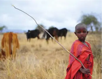  ?? RICK WESTHEAD/TORONTO STAR FILE PHOTO ?? Land such as this in Tanzania, used now for agricultur­e, is being turned to other uses, endangerin­g food supply.