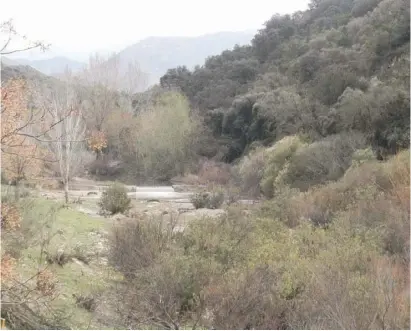  ??  ?? Nahe der Vía Verde de la Sierra erstrecken sich ausgedehnt­e Wälder und pittoreske Flusstäler.