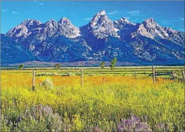  ??  ?? Jackson Hole Wyoming is the focus of The Table this week.