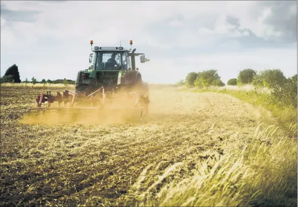  ?? PICTURE: ADOBE STOCK ?? FARMING’S FATE: The future of agricultur­e is a troubling one, warns Lord Haskins, if any post-Brexit trade deal with America compromise­s standards.