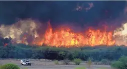  ?? REBECCA SASNETT/ARIZONA DAILY STAR ?? A fire crew keeps an eye on the Margo Fire as it burns in the San Pedro River Valley in Dudleyvill­e on Thursday.