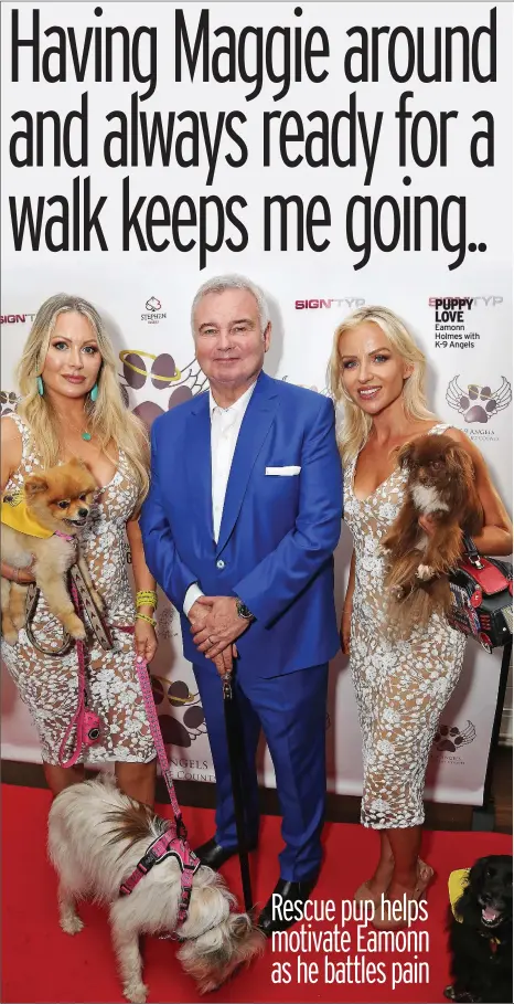  ?? ?? PUPPY LOVE Eamonn Holmes with K-9 Angels