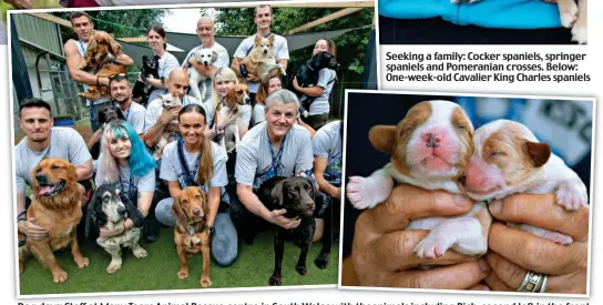  ?? ?? Dog days: Staff at Many Tears Animal Rescue centre in South Wales with theanimals including Rich, second left in the front
