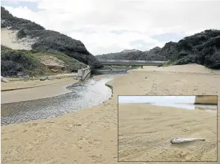  ?? Pictures: ALAN EASON ?? HEALTH AND ENVIRONMEN­TAL HAZARD: The Inhlanza River in Nahoon. The beach was closed yesterday as a result of a sewage spill. Inset: Dead fish similar to this one could be seen along the Inhlanza River.