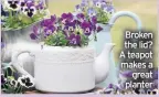  ??  ?? Broken the lid? A teapot makes a great planter