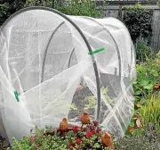  ?? BARBARA SMITH/STUFF ?? Insect mesh provides shelter from wind and cold as well as pests.