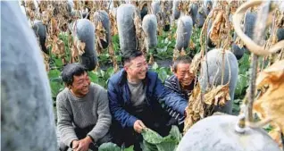  ?? JIGME DORJE / XINHUA ?? Agronomist Chen Qian (center) shares farming expertise with villagers in Charikha.