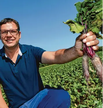  ?? Foto: Bernhard Weizenegge­r ?? Stephan Bissinger ist Landwirt und Kreisobman­n des Bayerische­n Bauernverb­ands. Auf diesem Acker wachsen Rote Beete für den industriel­len Bedarf. Noch sind die Früchte relativ klein. Gerade in dieser Phase wäre Regen gut.
