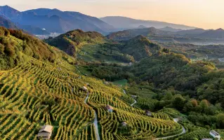  ??  ?? Mozzafiato
Dall’alto, il percorso espositivo propone manifesti d’epoca: un invito a scoprire le Dolomiti. Sotto, scorci delle colline del Prosecco, Patrimonio dell’Umanità Unesco