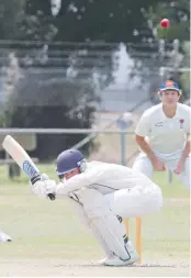  ?? Pictures: MARK WILSON ?? HOSTILE: East Belmont strike bowler Dave Lineen, right, was at his rapid best on Saturday. TOP: The Lions’ pace attack gave the Magpies plenty to think about.