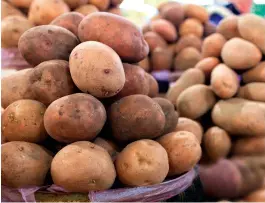  ?? ?? A horticultu­ral pick ‘n’ mix: a potato day is perfect for experiment­ing