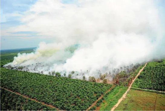  ?? PHOTO: REUTERS ?? A wildfire is seen from a Ministry of Environmen­t and Forestry helicopter over Kubu Raya, near Pontianak, West Kalimantan.