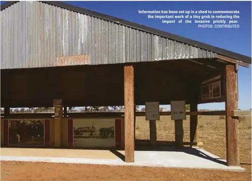  ?? PHOTOS: CONTRIBUTE­D ?? Informatio­n has been set up in a shed to commemorat­e the important work of a tiny grub in reducing the impact of the invasive prickly pear.