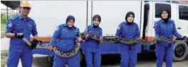  ??  ?? Civil defence personnel with the python.