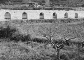  ??  ?? Das Aquädukt ist ein beliebtes Fotomotiv und befindet sich mitten in den Weingärten, die ideale Bedingunge­n für den Anbau bieten.