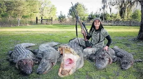  ??  ?? LIKE SHOOTING FISH IN A BARREL: US television presenter Melissa Bachman with the carcasses of five alligators she killed