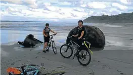  ?? Picture: SUPPLIED ?? BETWEEN SEA AND SKY: Riding bicycles along the shore on pristine stretches of the Wild Coast offers unique and exhilarati­ng experience­s.