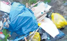  ?? PICTURE / MICHELE MITCALFE ?? SHAMEFUL:
A small part of the rubbish dumped at Waipapakau­ri.