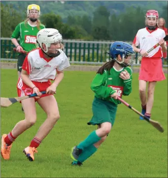  ??  ?? Shannon Redmond of Clonroche has Kilanerin’s Róisín Hughes breathing down her neck.