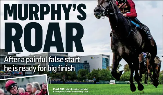  ??  ?? FLAT OUT: Murphy wins the Irish Champion Stakes on Roaring Lion