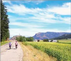  ?? ?? J.P. SQUIRE/Special to Okanagan Newspaper Group
A Monday morning bicycle ride from Armstrong to Grindrod provided panoramic views of North Okanagan agricultur­e with a backdrop of the Enderby Cliffs.