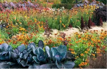  ??  ?? PERFECT BEDFELLOWS cut flowers brighten a veg patch and attract pollinator­s too