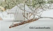  ??  ?? Gili Lankanfush­i