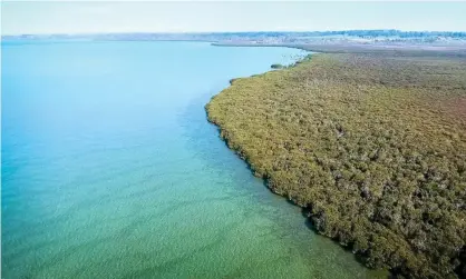  ??  ?? The Ramsar-listed wetlands bordering Crib Point, south-east of Melbourne. AGL plans to build a gas import terminal in Western Port Bay. Photograph: Stacey Chilcott/Green Collar Production­s