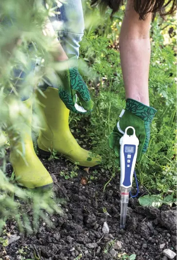  ??  ?? LEFT
If you suspect that your soil has been contaminat­ed with cement residue, which raises soil pH, carry out a simple test using a pH kit or pH meter to determine if further action is required to rectify the problem.