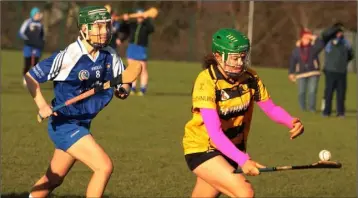 ??  ?? Rathnure’s scoring star Aoife Guiney soloing away from Emma Poole of Craanford-Monaseed.