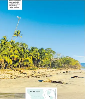  ??  ?? NEW WAVE
Surfers on the Nicoya Peninsula, main; a wildlife boat trip, below left; Tortuga Lodge, bottom