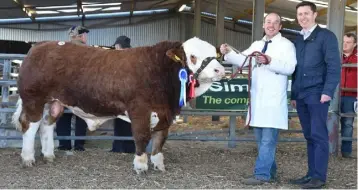  ??  ?? Martin Mooney, Clononymor­e, Shannonhar­bour, Birr, exhibitor and Chris White, judge, with Tisaran Jackson, reserve champion at the Irish Simmental Society Bull Show and Sale at Roscommon