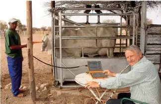  ?? FOTO: CHARL VAN ROOYEN ?? Mnr. Mecki Schneider by die datavasleg­ger langs die weegkrat waarin ’n Brahmankoe­i geweeg word. Mnr. Lourentuis Linus hou die skandeerde­r vas waarmee die koei se unieke identifika­sienommer in die oorplaatji­e gelees word.