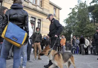  ??  ?? Verifiche
Controlli dei
carabinier­i con
cani antidroga
all’uscita di una
scuola
superiore (foto
di archivio)