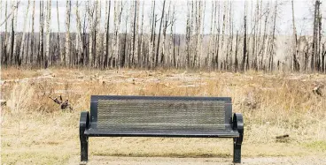  ?? GREG HALINDA ?? Scorched trees surroundin­g the neighbourh­ood of Beacon Hill, a subdivisio­n largely destroyed by the May 2016 wildfires in Fort McMurray.