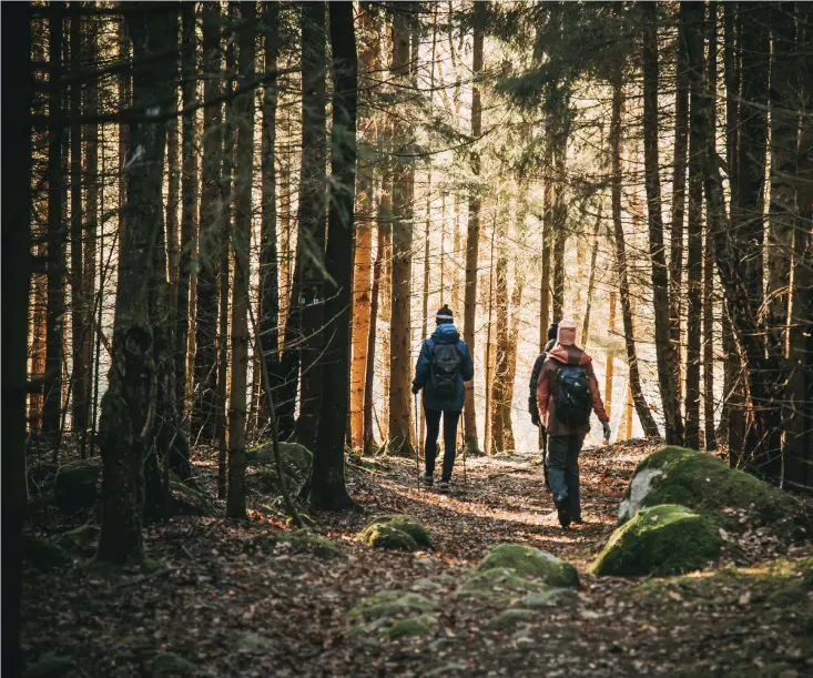  ??  ?? Vandring ser ut att bli en fortsatt populär semesterak­tivitet 2021. Bland alla miljövänli­ga turistattr­aktioner runt Göteborg – världens mest hållbara stad 2021 enligt Lonely Planet – finns Gotaleden. Den sträcker sig 71 kilometer mellan Göteborg och Alingsås.