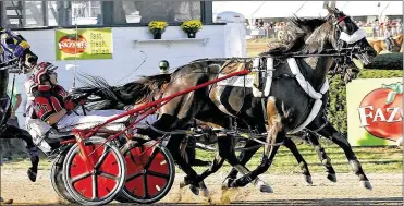  ?? CONTRIBUTE­D BY BRAD CONRAD ?? Wiggle It Jiggleit, who will race Friday at Dayton Raceway, has more than $3.61 million in career earnings. By year’s end, the 2015 Harness Horse of the Year may wind up in racing’s top five all-time money-winners.