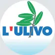  ??  ?? Il confronto In alto il logo originale dell’Ulivo. Sotto quello della lista Insieme che raccoglie le forze a sinistra del Pd, dove riappare il logo con il ramoscello