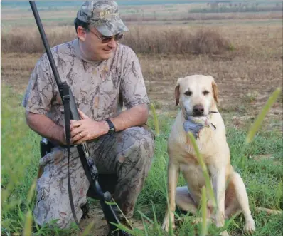  ?? PHOTOS BY KEITH SUTTON/CONTRIBUTI­NG PHOTOGRAPH­ER ?? Ranger, a Labrador retriever, fetched a dove for owner Ronald Caldwell of Wynne. A good retrieving dog makes quick work of finding doves, which can be difficult to locate on the ground.