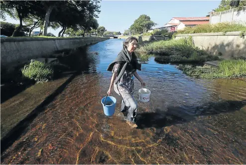  ?? Picture: Esa Alexander ?? Gill Lanham is helping to green the Liesbeek River. Until now the river and its canal have been used to channel waste water into the sea.